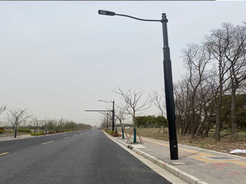 柘城县上海综合杆 太阳能路灯工程